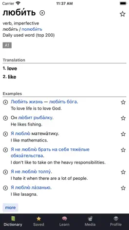 Game screenshot OpenRussian Russian Dictionary apk