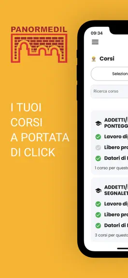 Game screenshot Panormedil mod apk