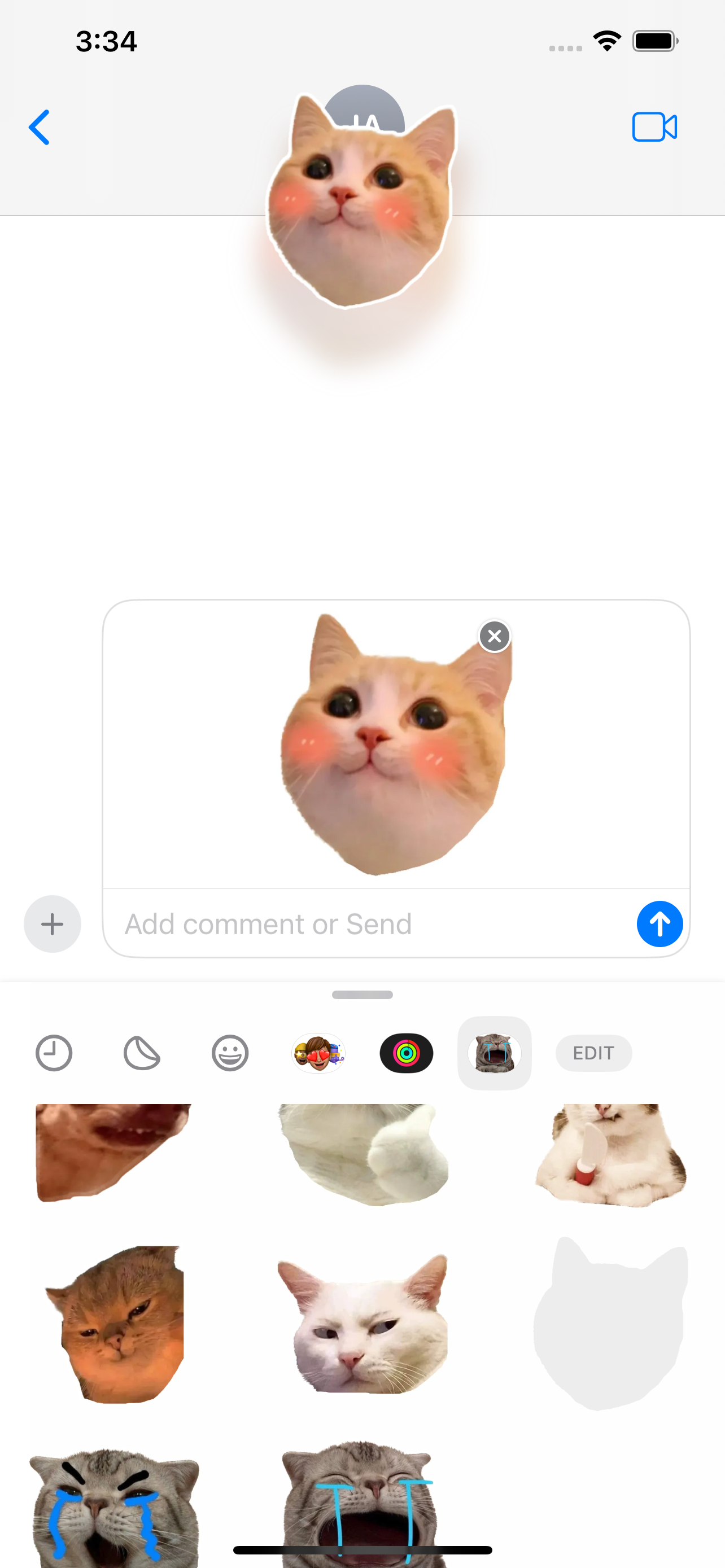 Cute Cat Meme