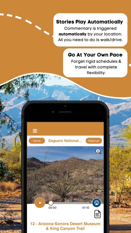 Saguaro National Park Guide