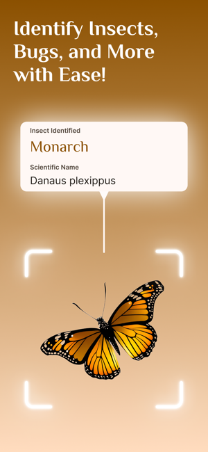 ‎Bug Identifier, Insect Id Screenshot