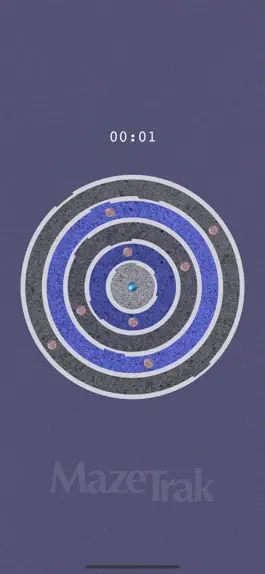Game screenshot MazeTrak hack