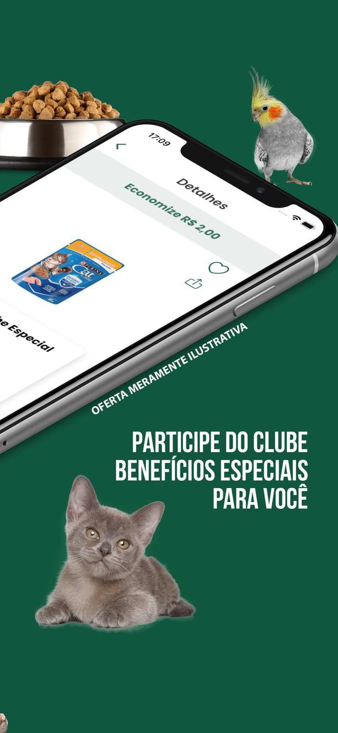 Boomerang Rocha Fértil