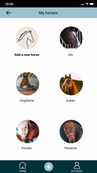 Screenshot #3 pour NOVOSTABLE