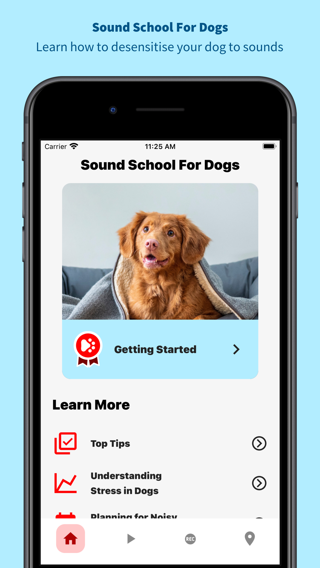 Sound School For Dogs