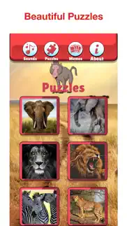 wildlife africa games for kids iphone screenshot 3