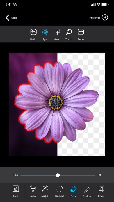 مسح خلفية الصورة Screenshot