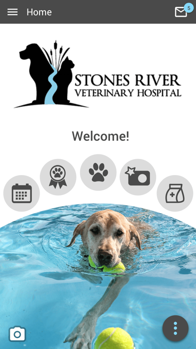 Stones River Vet Screenshot