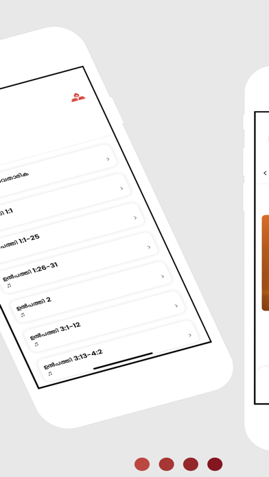 Malayalam Bible App Screenshot