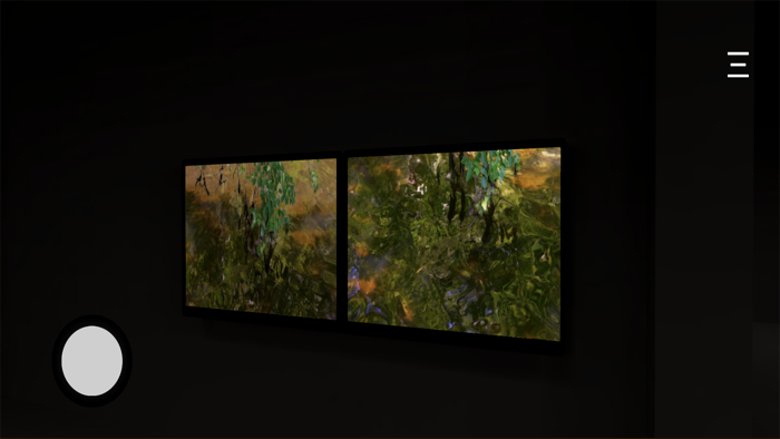 Carlo Cinque Virtual Gallery