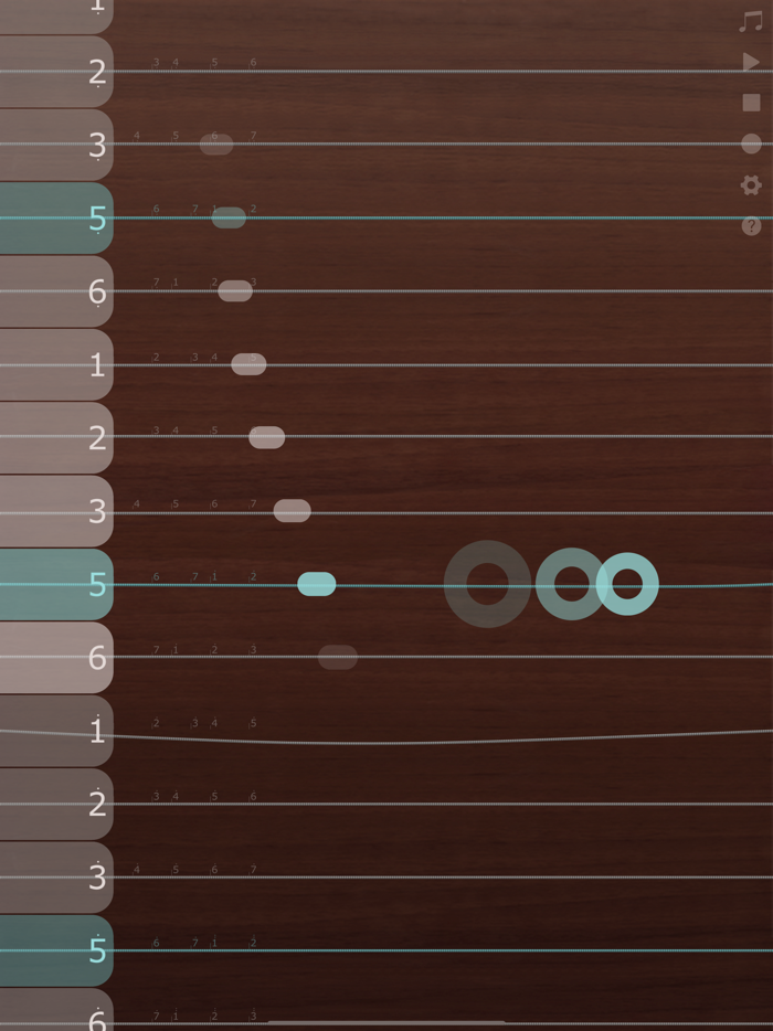 iGuzheng⁺ - Pro version