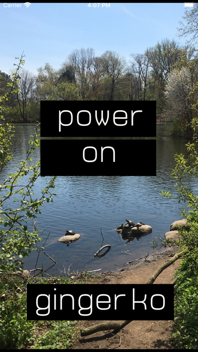 Screenshot #1 pour Power On OS