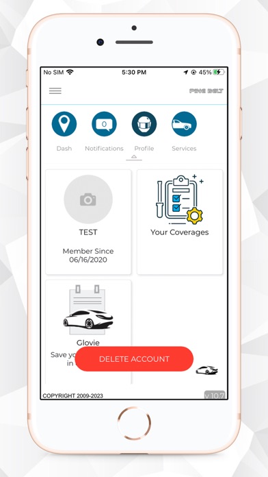 Pine Belt Auto Care Screenshot