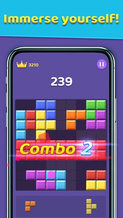 Block Sudoku Puzzle Game Screenshot