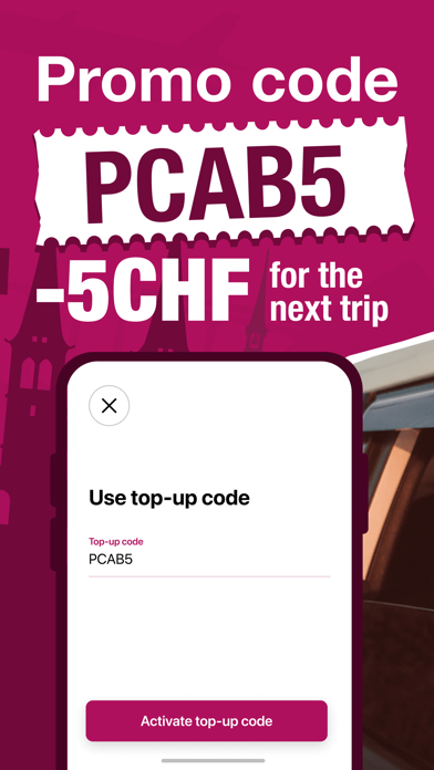 Pcab: Pet Taxi Geneva Screenshot