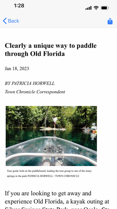 Town Chronicle Screenshot