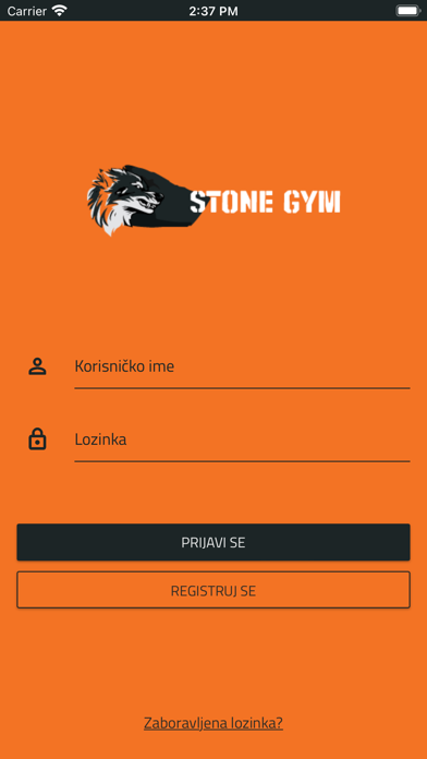 Stone Gym Screenshot