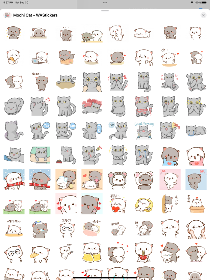 Mochi Cat - WAStickers