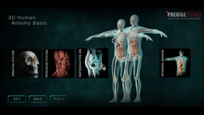 3D Human Anatomy Basic Screenshot