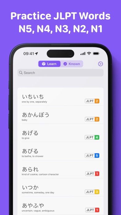 JLPT Words: Vocabulary Screenshot