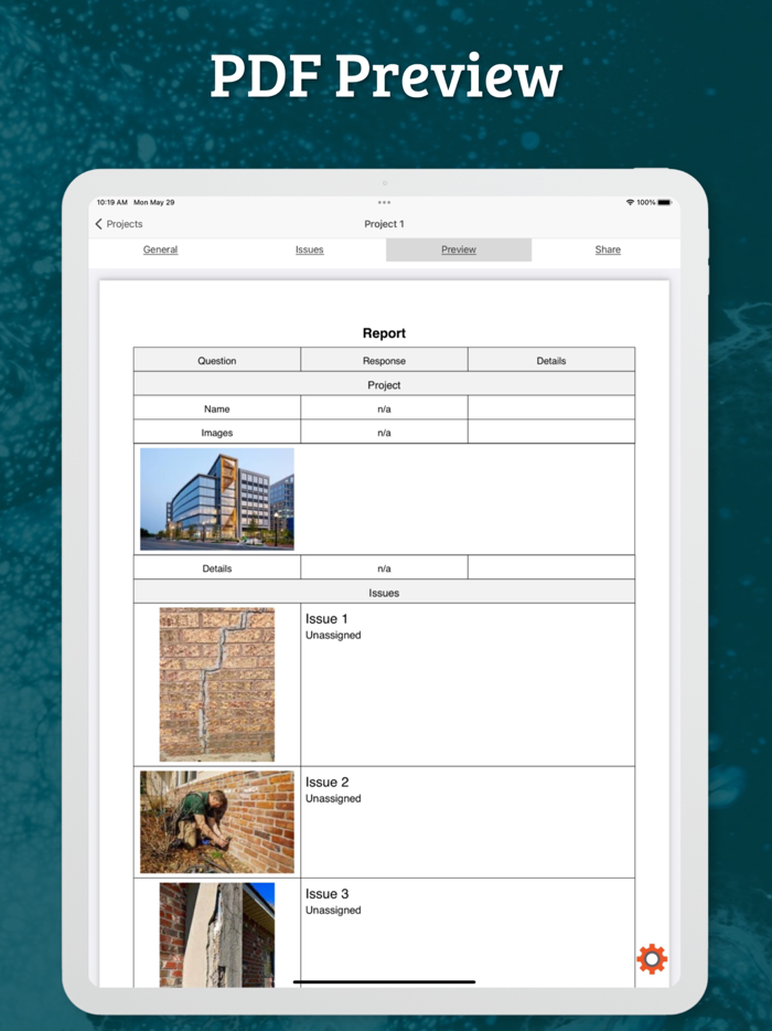 Site Audit - Punch Snag Lists