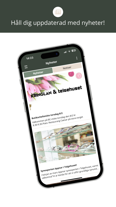 Kringlan & Telgehuset Intern Screenshot