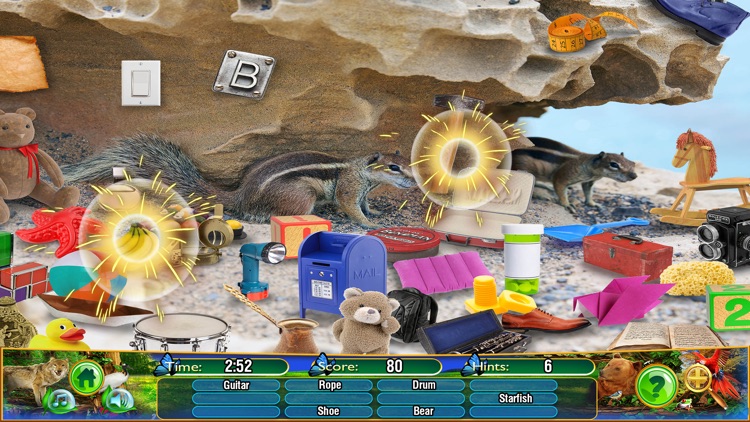 Hidden Objects Animal Kingdom screenshot-5