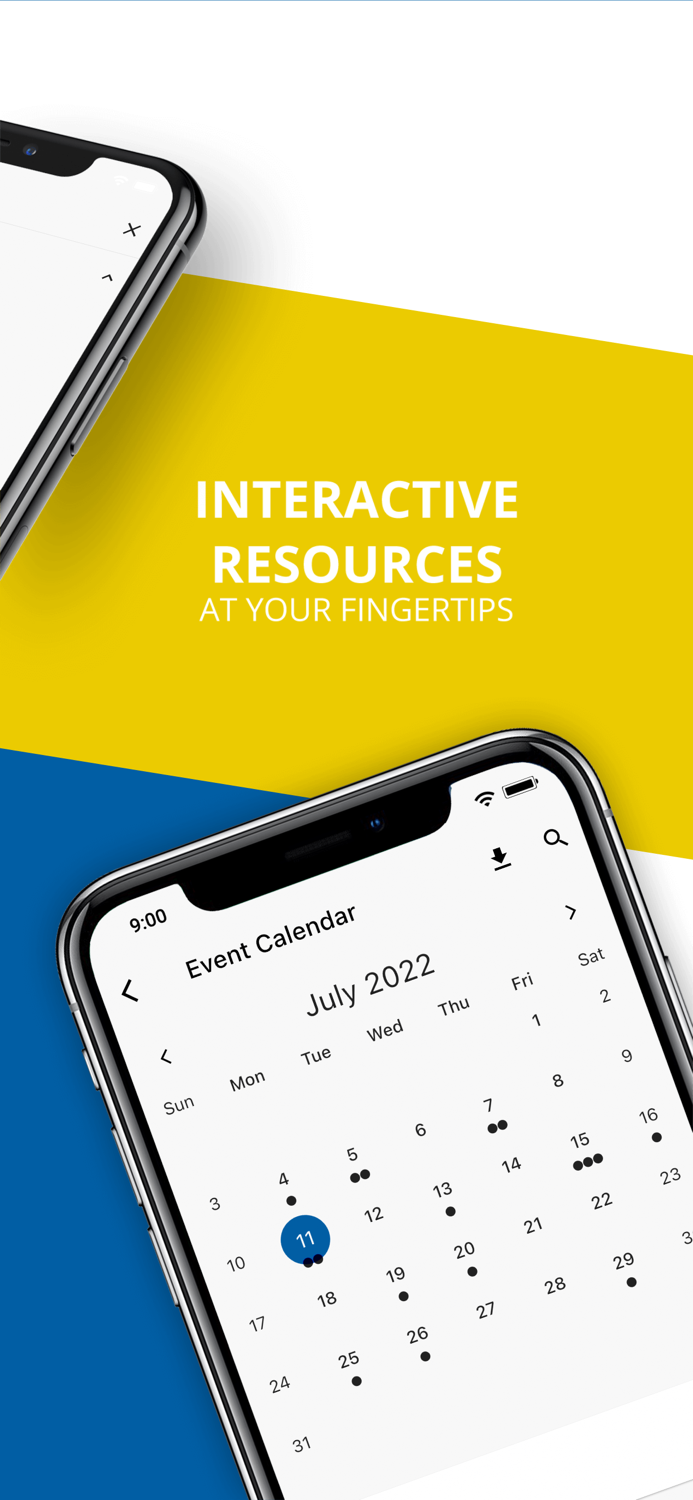 PS 251 The Paerdegat School