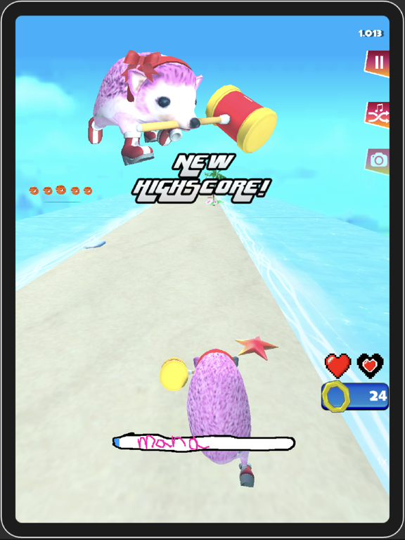 Screenshot #5 pour Go Sanic Goo! MLG