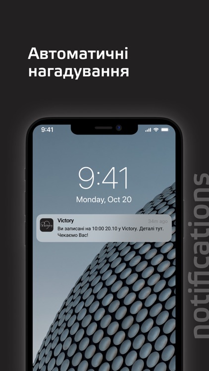 Victory screenshot-8