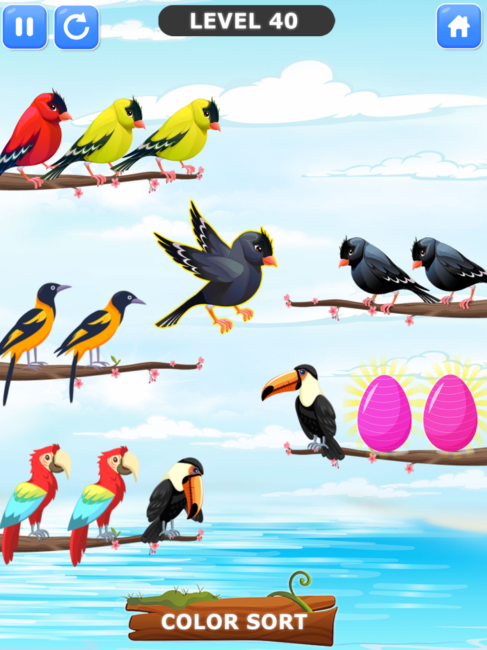 Bird Sort Color Puzzle Games