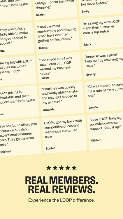 LOOP: FAIR CAR INSURANCE screenshot-9