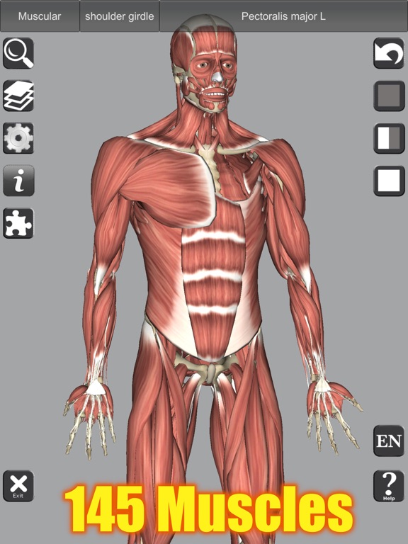 Screenshot #5 pour 3D Anatomy Learning