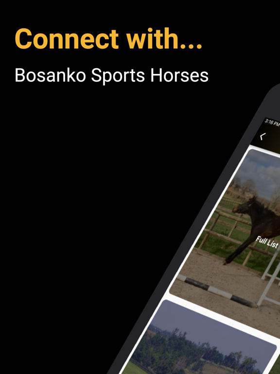 Screenshot #4 pour Bosanko Sports Horses