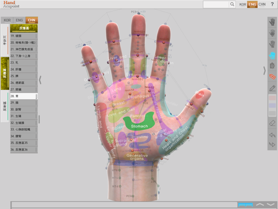 Screenshot #5 pour Hand Acupoints