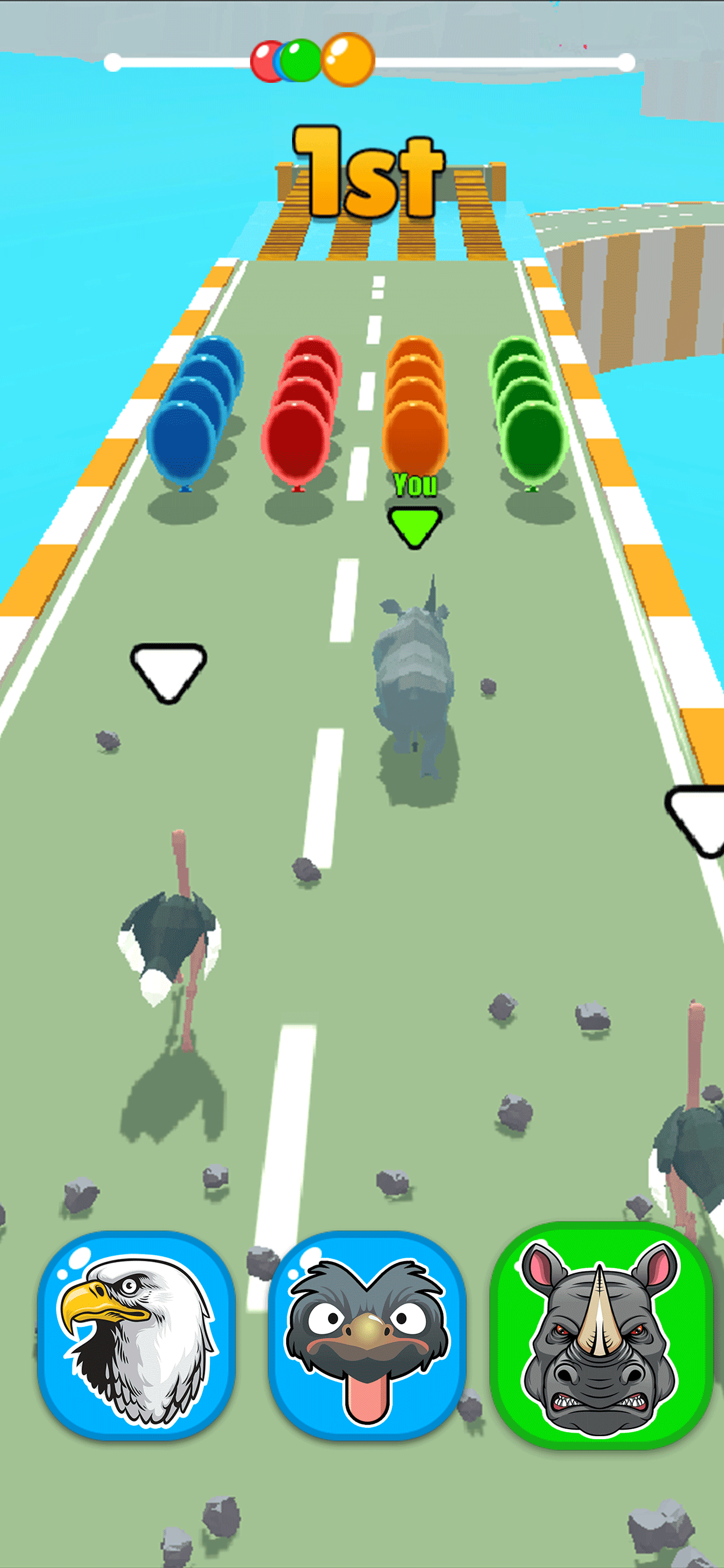 Animals Racing