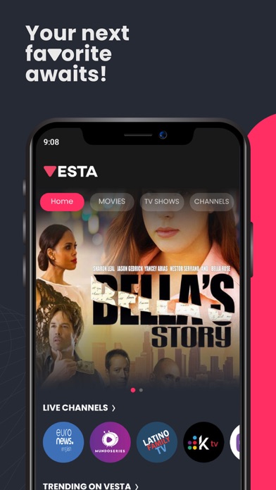 Vesta Stream Screenshot