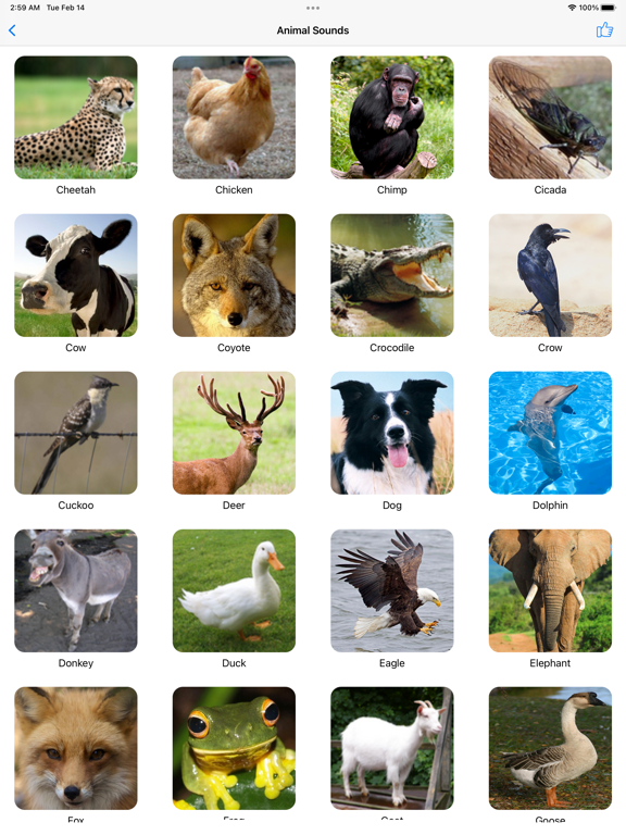 Screenshot #5 pour Animal Sounds Voice Effects