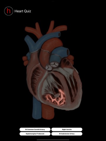 Human Heart Anatomy Quizのおすすめ画像1