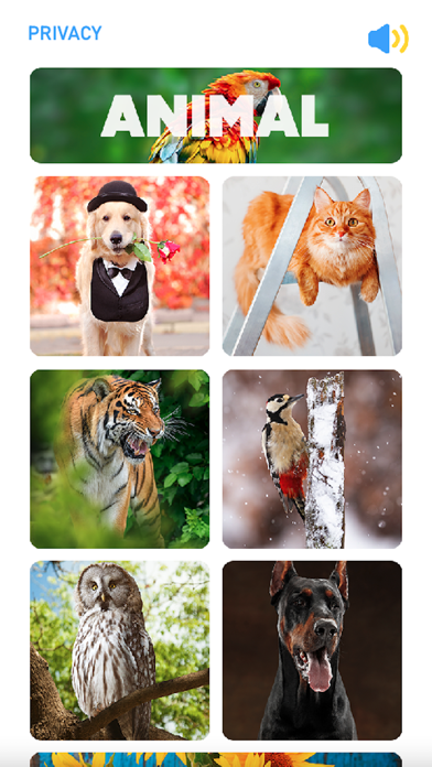 Antistress Jigsaw Puzzle Screenshot