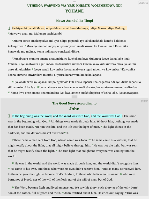 Screenshot #6 pour Chichewa Yao English Swahili