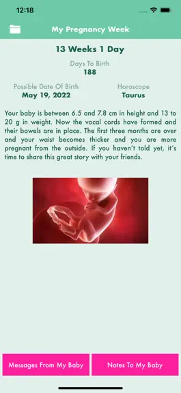 Game screenshot Pregnancy Tracking mod apk