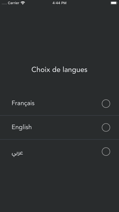 Tunisie Numerique Screenshot