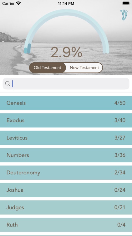 Footsteps: Bible Tracker