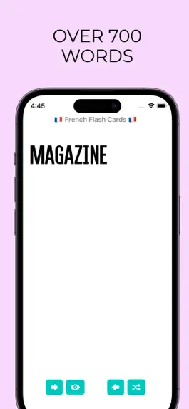 Game screenshot French Flash Cards hack