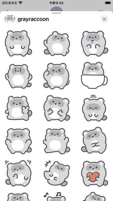 gray raccoon sticker Screenshot