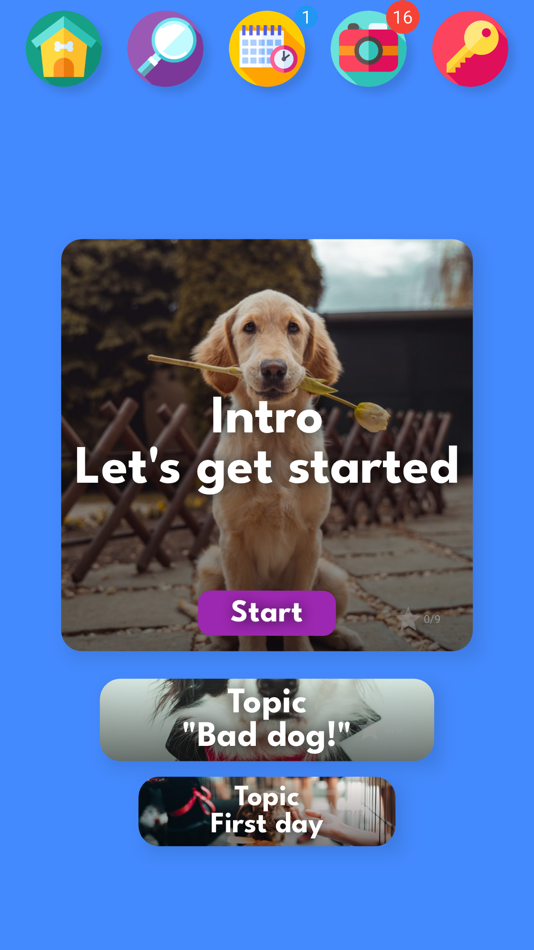 Pocket Puppy School - 2024.05.05 - (iOS)