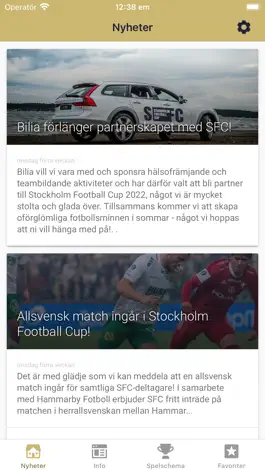 Game screenshot Stockholm Football Cup mod apk