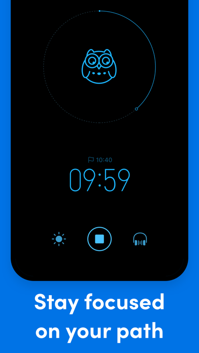 Bluebird Focus Timer screenshot 4