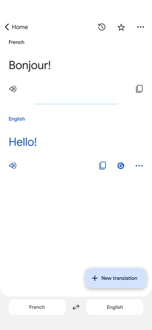 Google Translate on the App Store